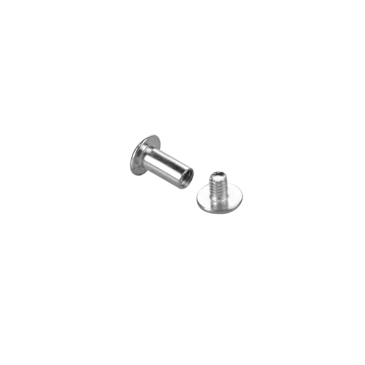 Винт металлический BINDING SCREW-10, цвет серебро