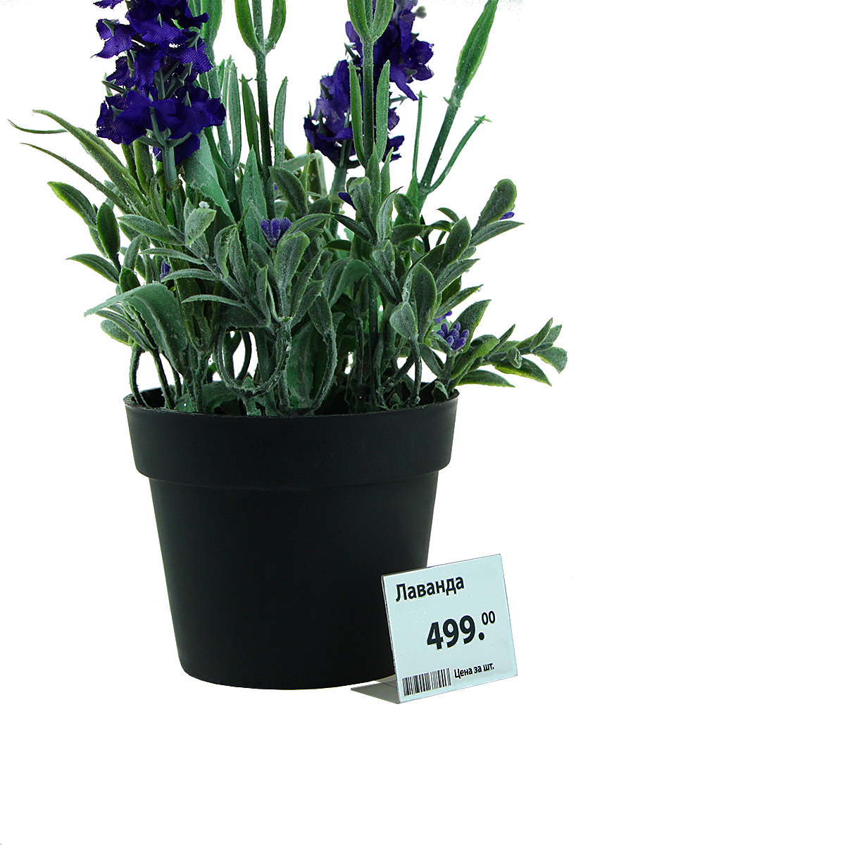 Ценникодержатель P-PRICER 40х30 мм, горизонтальный (100 шт. в упаковке)