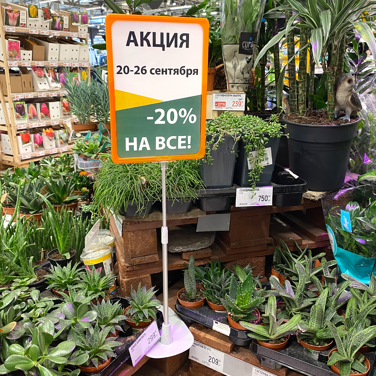 Рамка PF-A4, цвет оранжевый