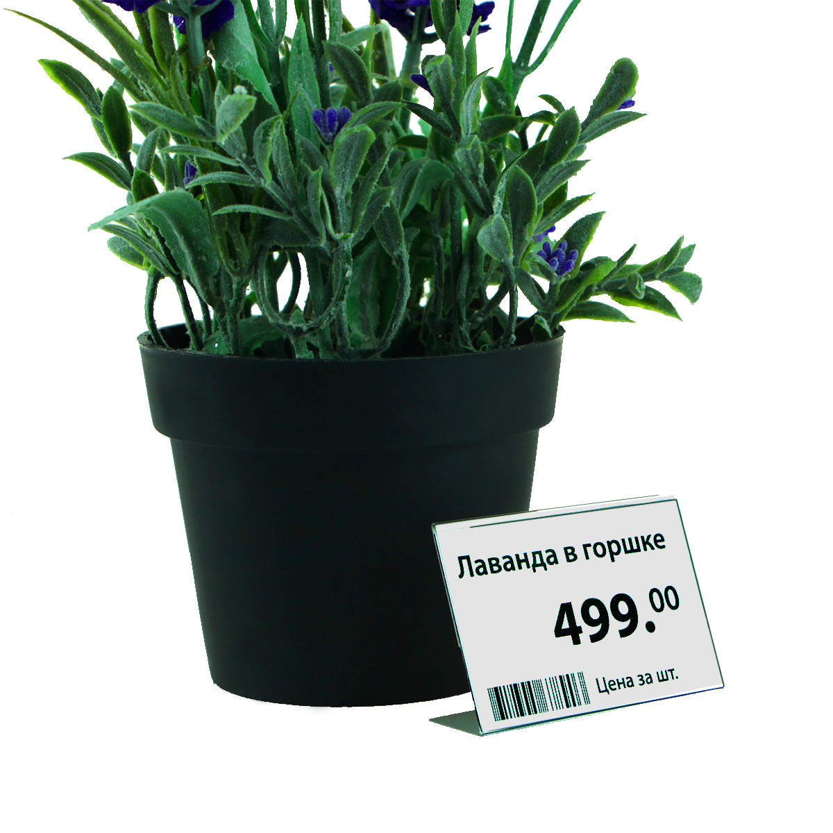 Ценникодержатель P-PRICER 40х60 мм, горизонтальный (100 шт. в упаковке)