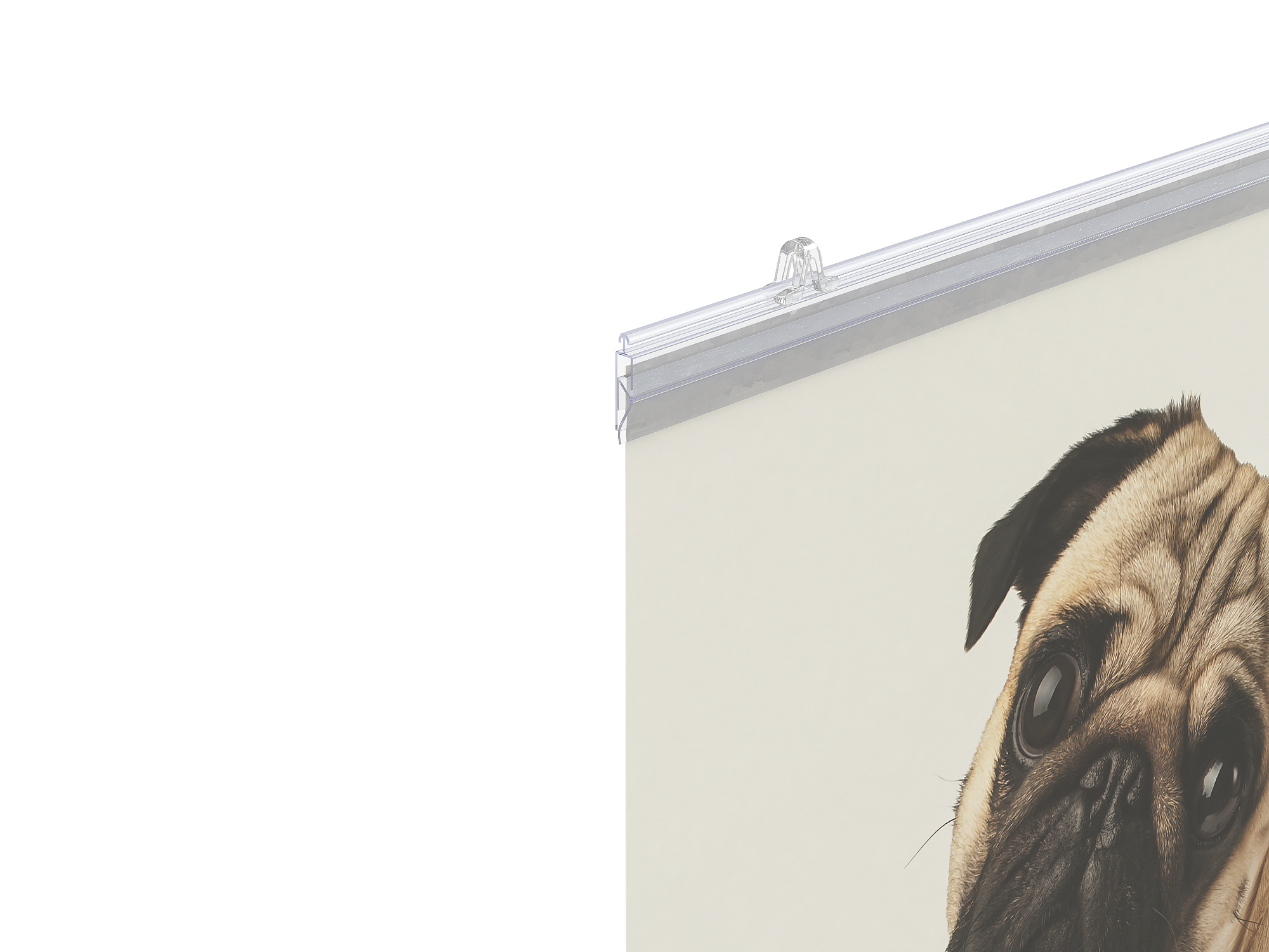 Комплект профилей для плакатов GRIPPER-SET, длина 1200 мм, прозрачный