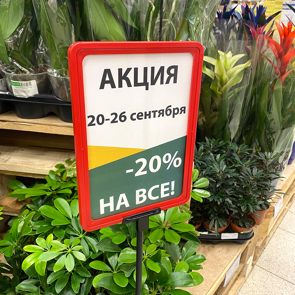 Рамка PF-A5, цвет красный