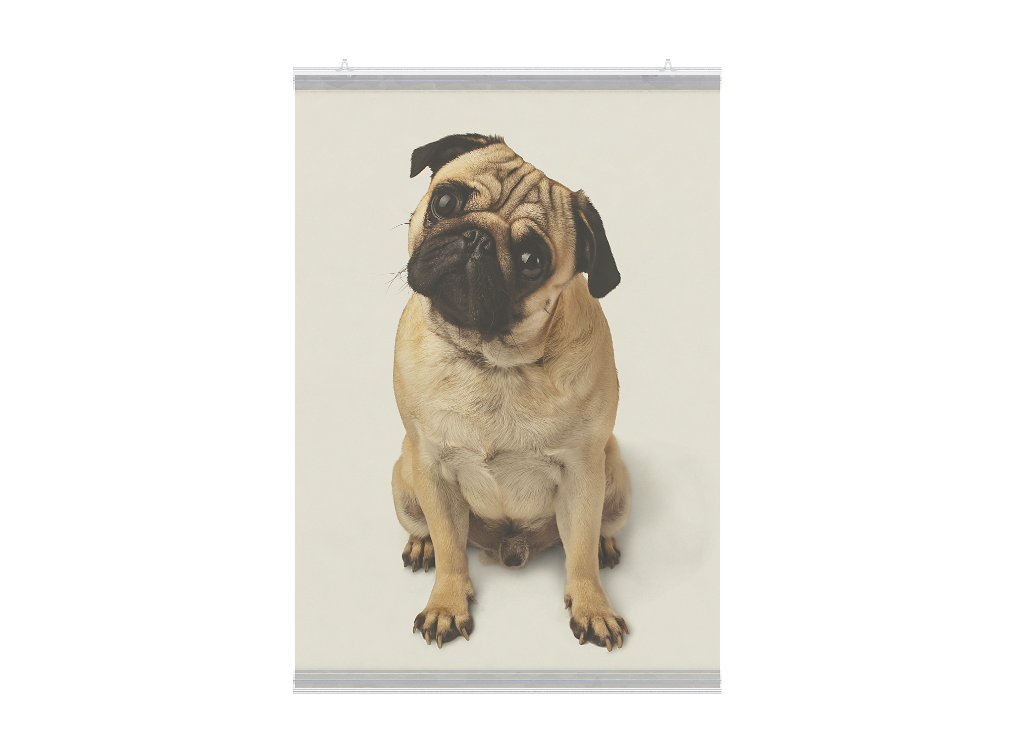 Комплект профилей для плакатов GRIPPER-SET, длина 1200 мм, прозрачный