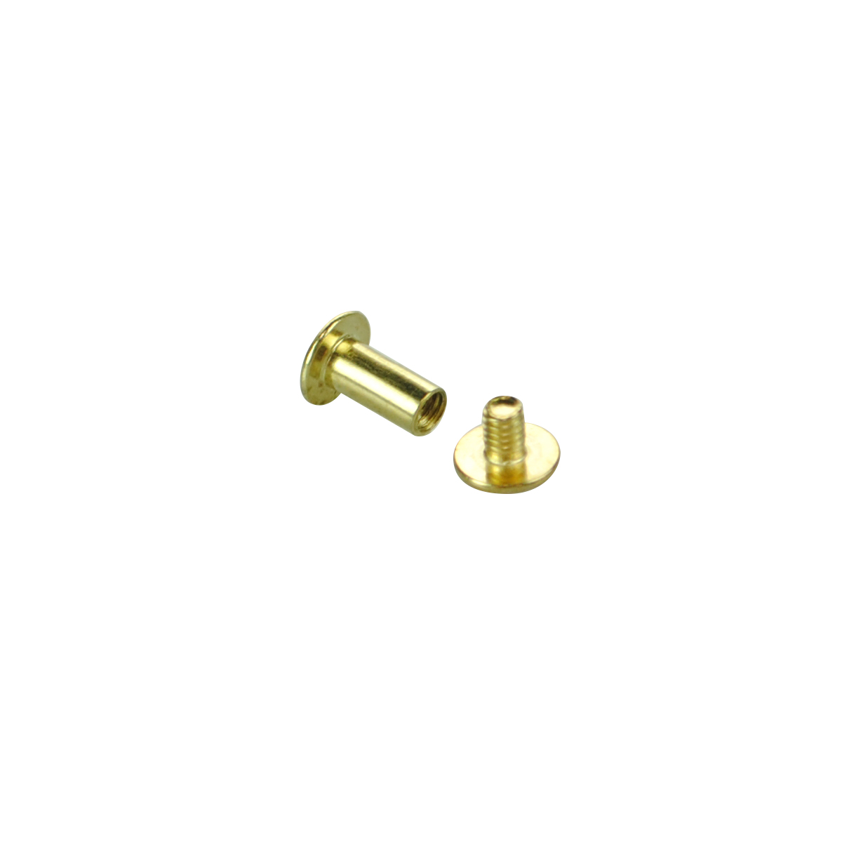 Винт металлический BINDING SCREW-10, цвет золото