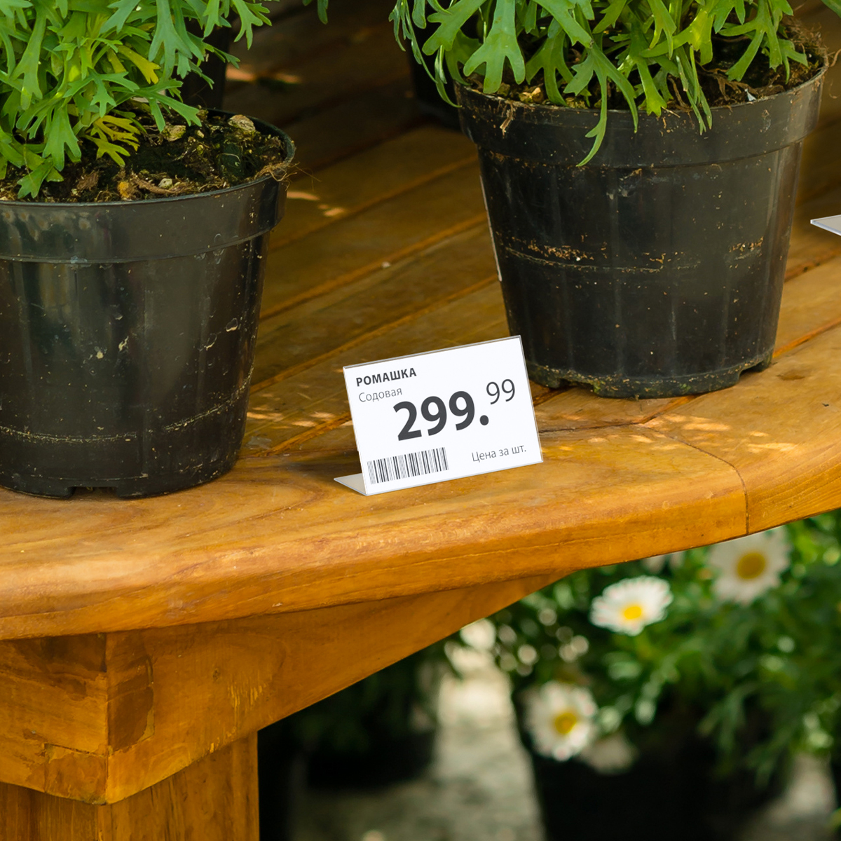 Ценникодержатель P-PRICER 70х50 мм, горизонтальный, на вспен. скотче