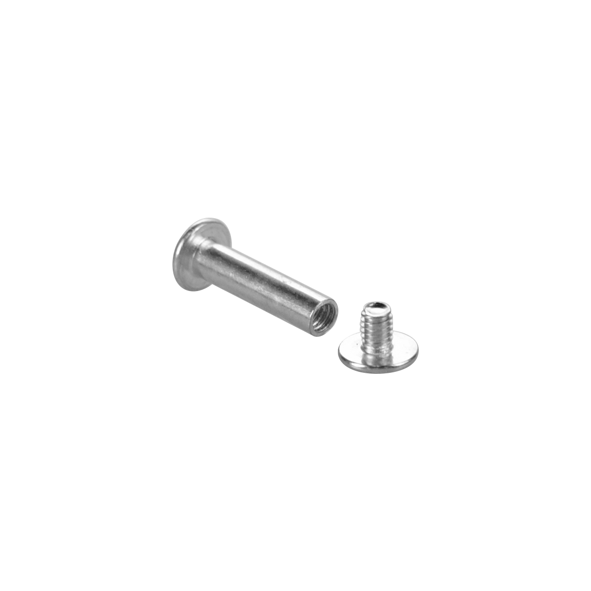 Винт металлический BINDING SCREW-20, цвет серебро