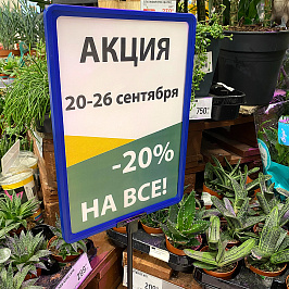 Рамка с закругленными углами PF-A4, цвет синий