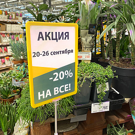 Рамка с закругленными углами PF-A4, цвет желтый