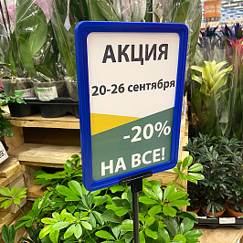 Рамка с закругленными углами PF-A5, цвет синий