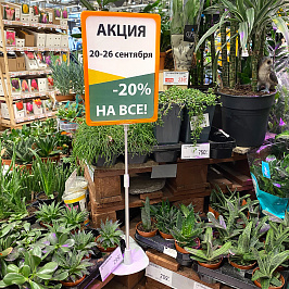 Рамка с закругленными углами PF-A4, цвет оранжевый