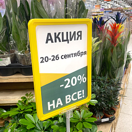 Рамка с закругленными углами PF-A5, цвет желтый