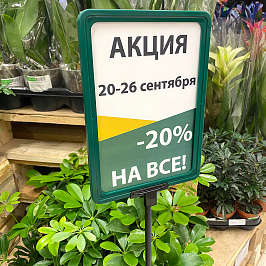 Рамка с закругленными углами PF-A5, цвет зеленый