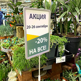 Рамка с закругленными углами PF-A4, цвет серый